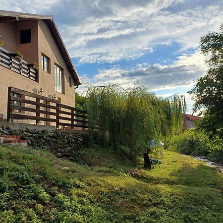 Casa Radu Appartement Novaci-Străini Buitenkant foto