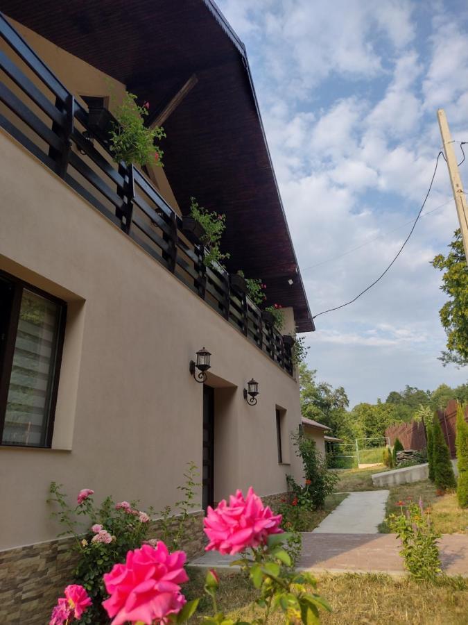 Casa Radu Appartement Novaci-Străini Buitenkant foto