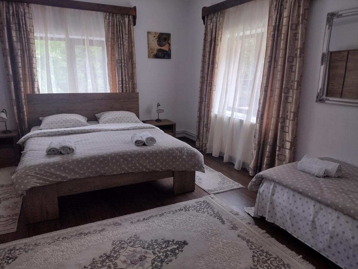 Casa Radu Appartement Novaci-Străini Buitenkant foto