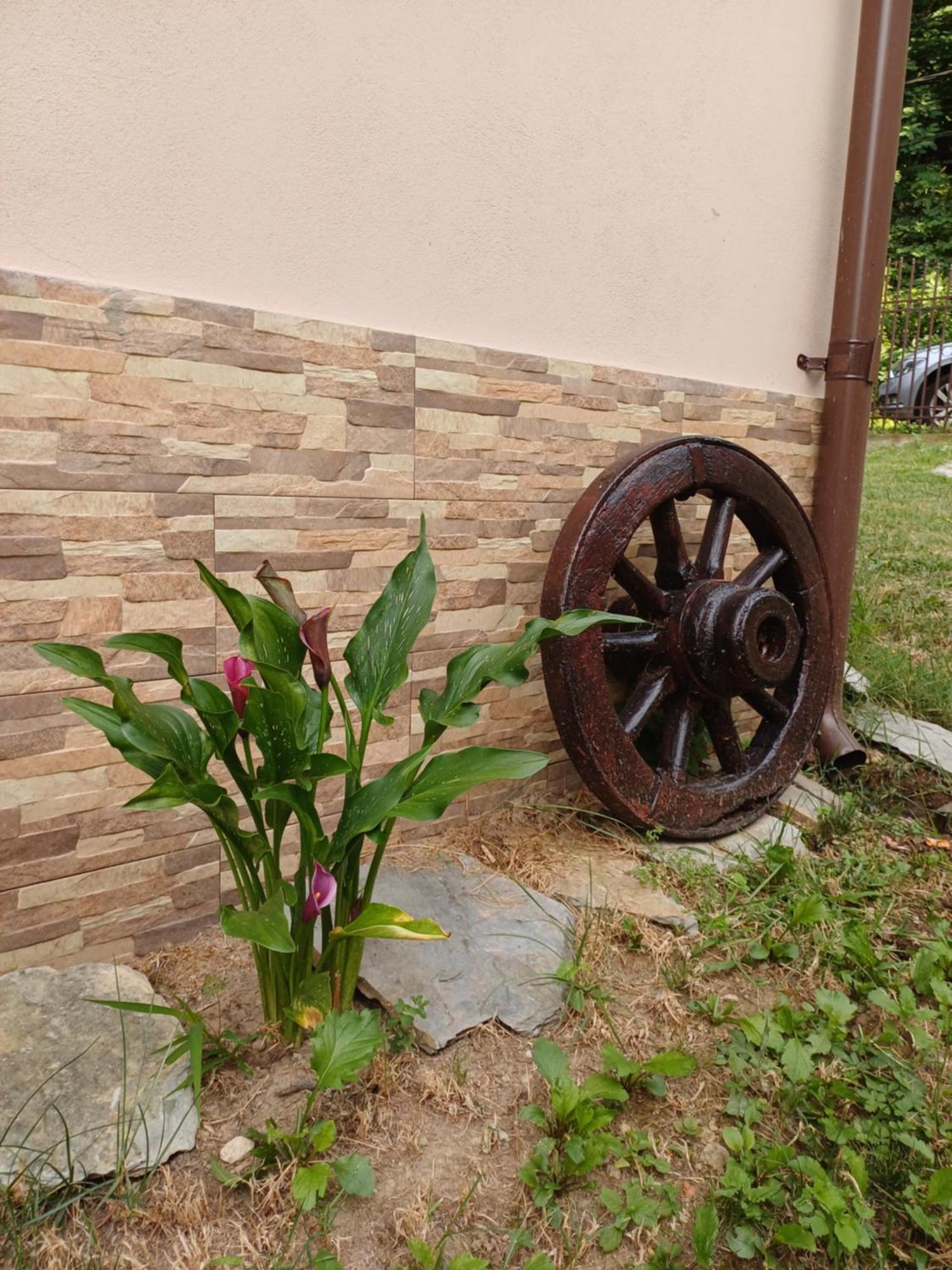 Casa Radu Appartement Novaci-Străini Buitenkant foto