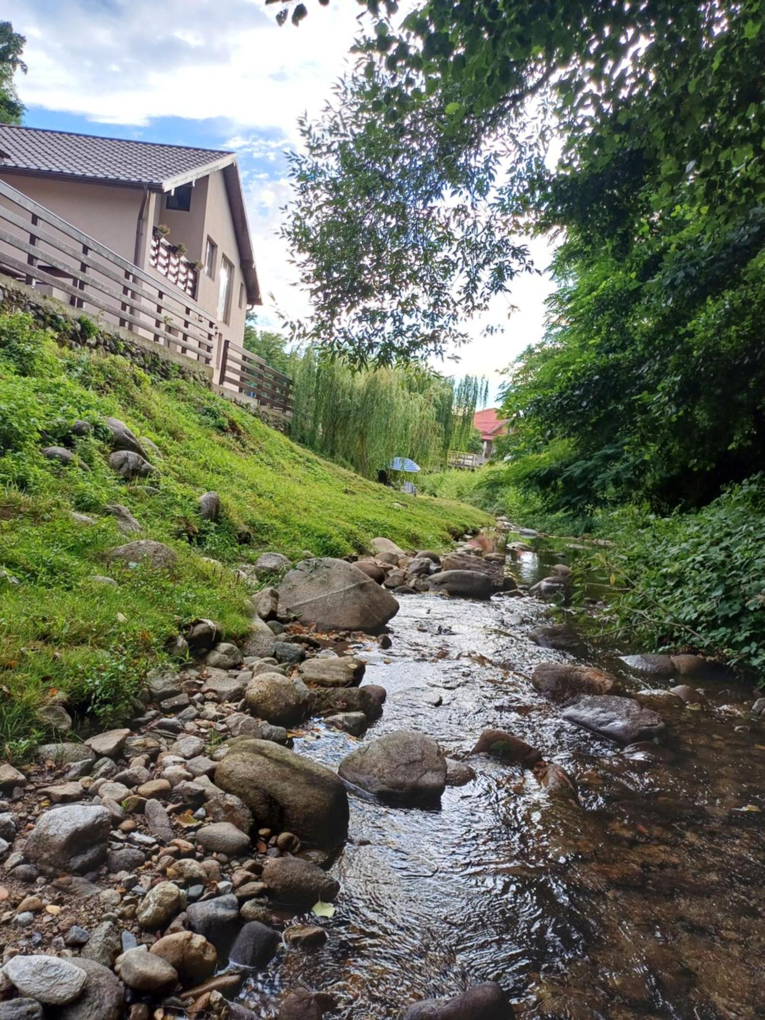 Casa Radu Appartement Novaci-Străini Buitenkant foto