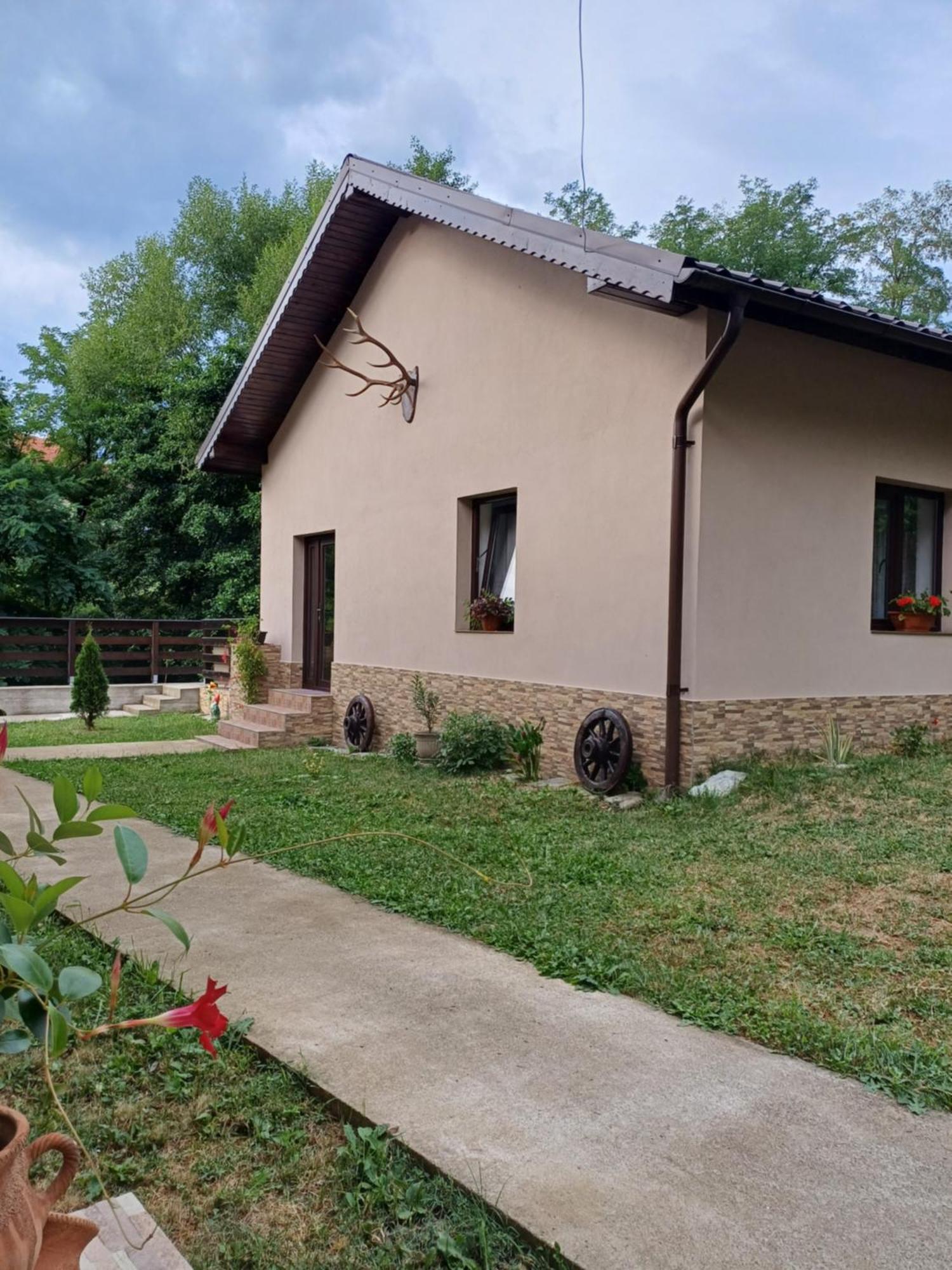 Casa Radu Appartement Novaci-Străini Buitenkant foto