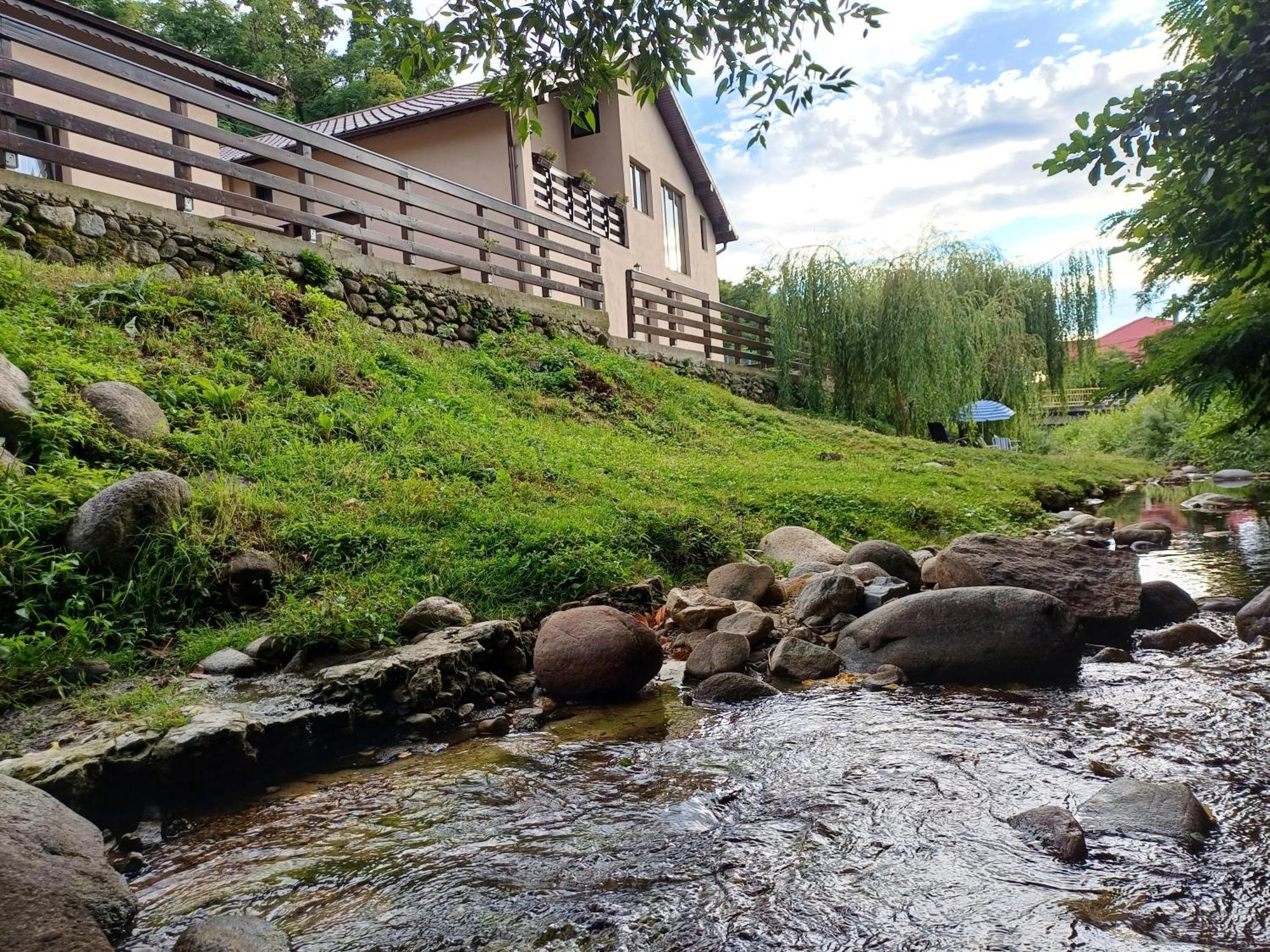 Casa Radu Appartement Novaci-Străini Buitenkant foto