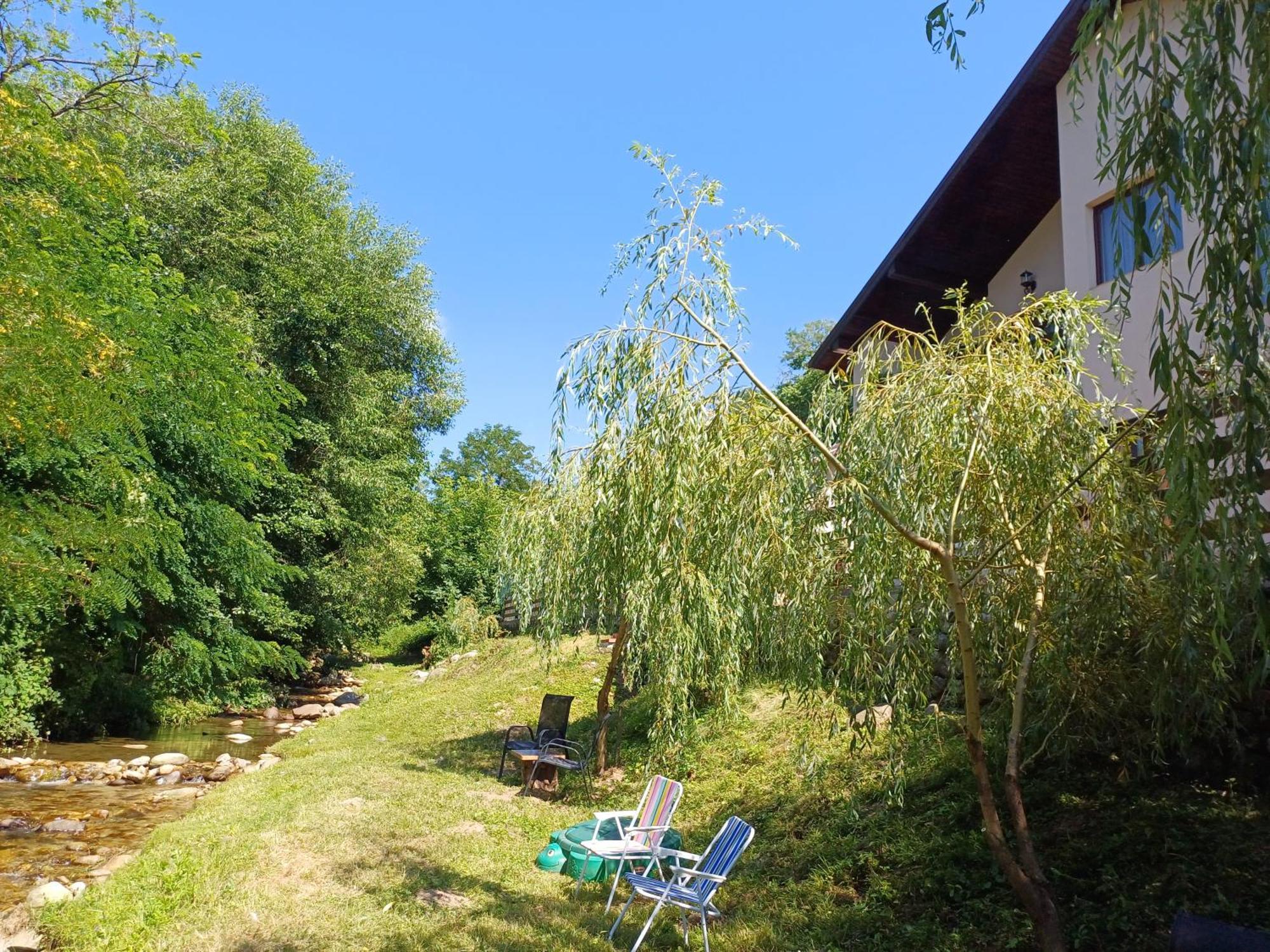 Casa Radu Appartement Novaci-Străini Buitenkant foto