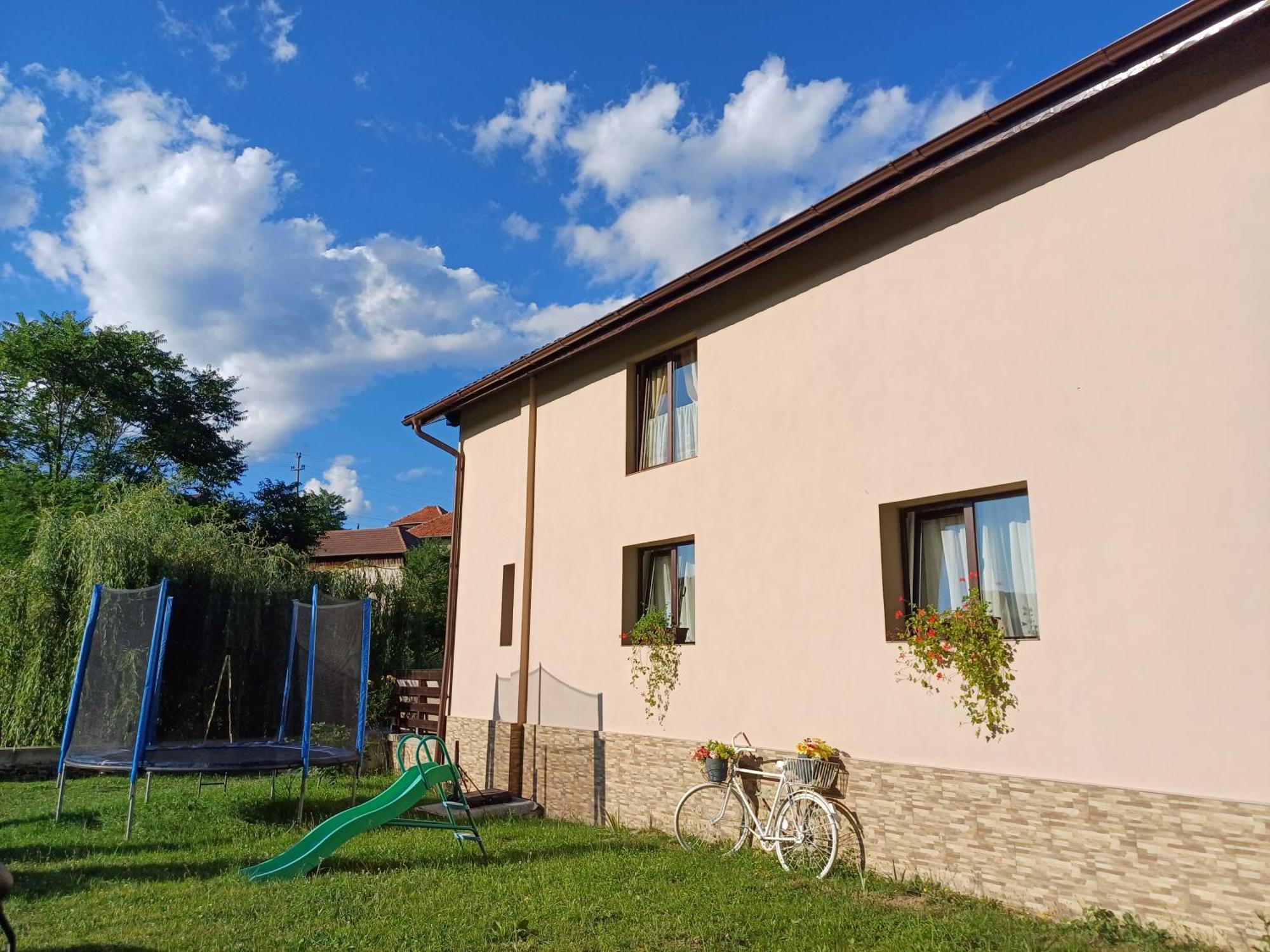 Casa Radu Appartement Novaci-Străini Buitenkant foto