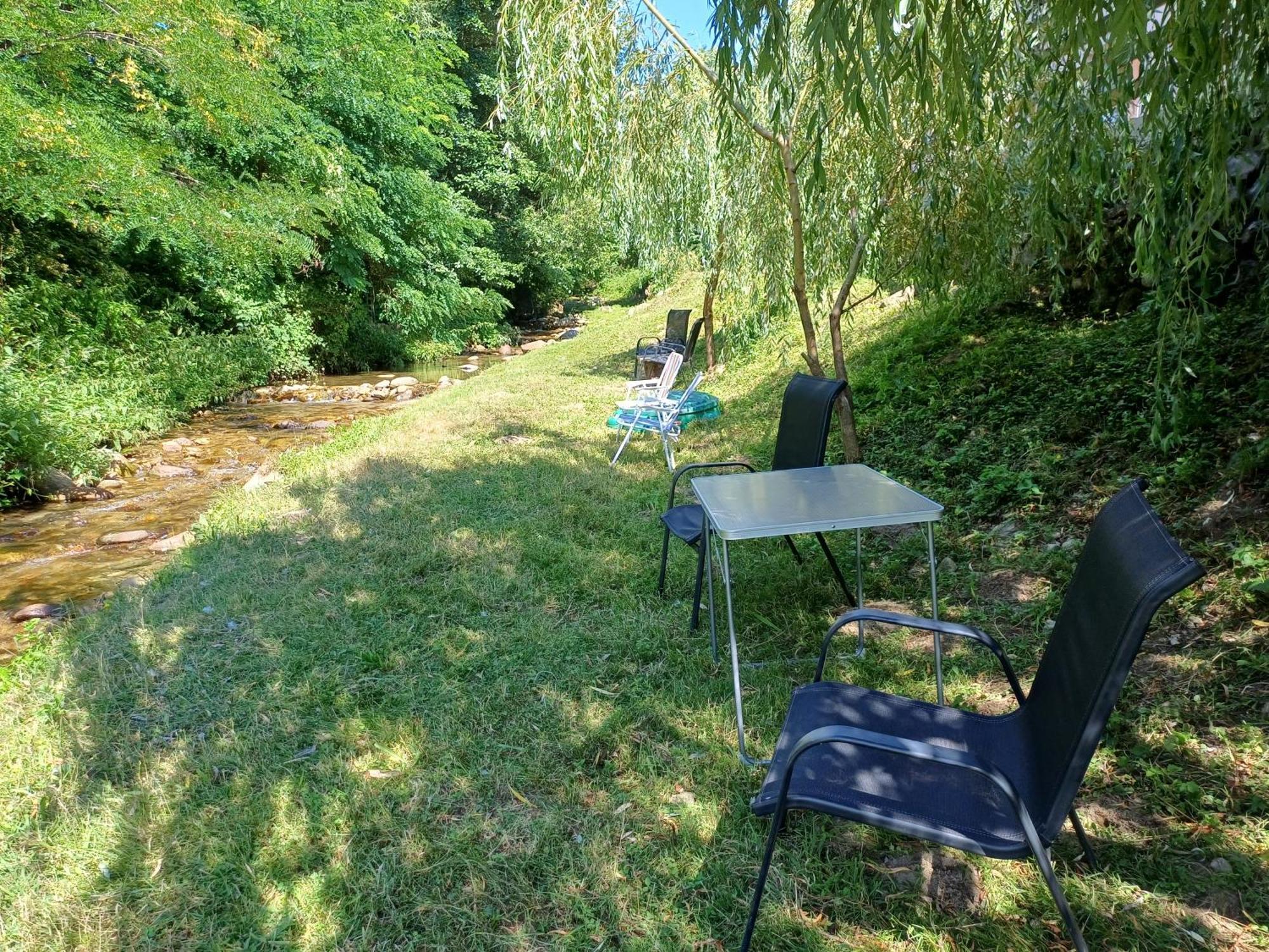 Casa Radu Appartement Novaci-Străini Buitenkant foto